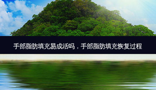 手部脂肪填充易成活吗,手部脂肪填充恢复过程-第1张图片-容颜讯 手部脂肪填充易成活吗,手部脂肪填充恢复过程-第1张图片-容颜讯