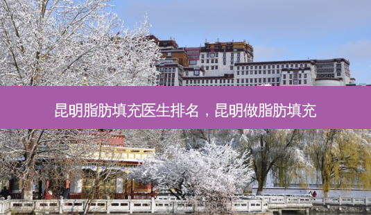 昆明脂肪填充医生排名，昆明做脂肪填充-第1张图片-容颜讯