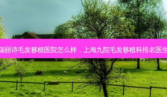 瑞丽诗毛发移植医院怎么样，上海九院毛发移植科排名医生-第1张图片-容颜讯
