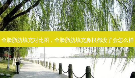 全脸脂肪填充对比图，全脸脂肪填充鼻根都没了会怎么样-第1张图片-容颜讯