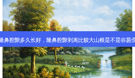 隆鼻腔隙多久长好，隆鼻腔隙剥离比较大山根是不是容易歪-第1张图片-容颜讯