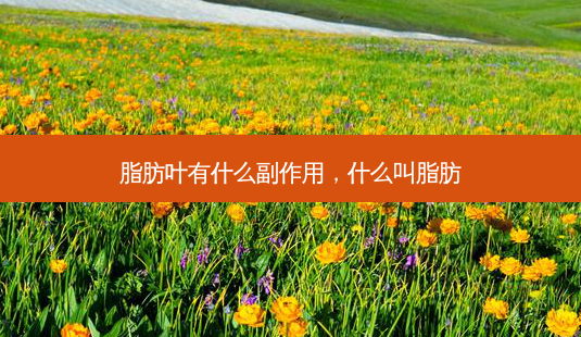 脂肪叶有什么副作用，什么叫脂肪-第1张图片-容颜讯