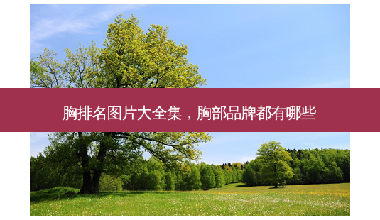 胸排名图片大全集,胸部品牌都有哪些-第1张图片-容颜讯 胸排名图片大全集,胸部品牌都有哪些-第1张图片-容颜讯
