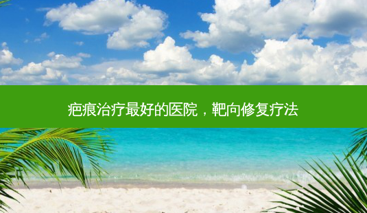 疤痕好的医院,靶向修复疗法-第1张图片-容颜讯 疤痕好的医院,靶向修复疗法-第1张图片-容颜讯