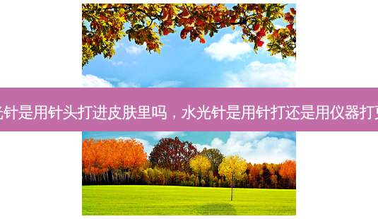 水光针是用针头打进皮肤里吗,水光针是用针打还是用仪器打更好-第1张图片-容颜讯 水光针是用针头打进皮肤里吗,水光针是用针打还是用仪器打更好-第1张图片-容颜讯