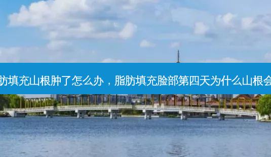 脂肪填充山根肿了怎么办，脂肪填充脸部第四天为什么山根会肿-第1张图片-容颜讯