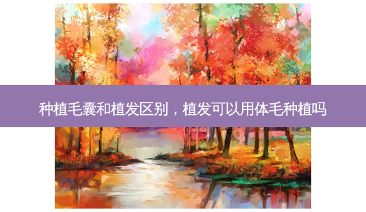 种植毛囊和植发区别，植发可以用体毛种植吗-第1张图片-容颜讯