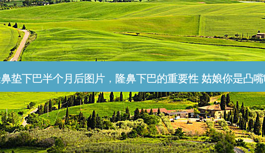 隆鼻垫下巴半个月后图片，隆鼻下巴的重要性 姑娘你是凸嘴吗-第1张图片-容颜讯