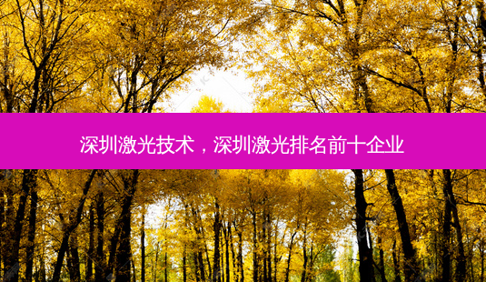 深圳激光技术，深圳激光排名前十企业-第1张图片-容颜讯