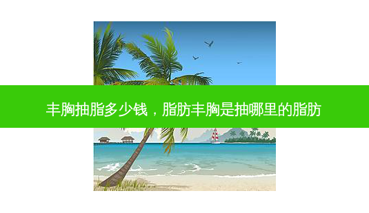 丰胸抽脂多少钱，脂肪丰胸是抽哪里的脂肪-第1张图片-容颜讯
