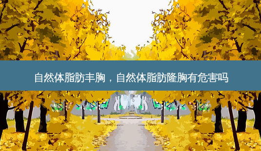 自然体脂肪丰胸,自然体脂肪隆胸有危害吗-第1张图片-容颜讯 自然体脂肪丰胸,自然体脂肪隆胸有危害吗-第1张图片-容颜讯