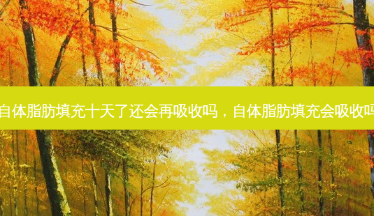 自体脂肪填充十天了还会再吸收吗,自体脂肪填充会吸收吗-第1张图片-容颜讯 自体脂肪填充十天了还会再吸收吗,自体脂肪填充会吸收吗-第1张图片-容颜讯