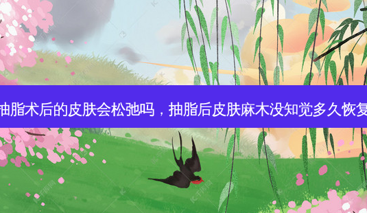 抽脂术后的皮肤会松弛吗,抽脂后皮肤麻木没知觉多久恢复-第1张图片-容颜讯 抽脂术后的皮肤会松弛吗,抽脂后皮肤麻木没知觉多久恢复-第1张图片-容颜讯