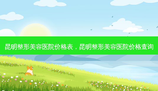 昆明整形美容医院价格表，昆明整形美容医院价格查询-第1张图片-容颜讯