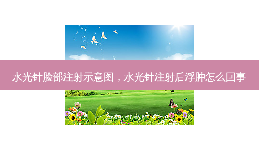 水光针脸部注射示意图,水光针注射后浮肿怎么回事-第1张图片-容颜讯 水光针脸部注射示意图,水光针注射后浮肿怎么回事-第1张图片-容颜讯