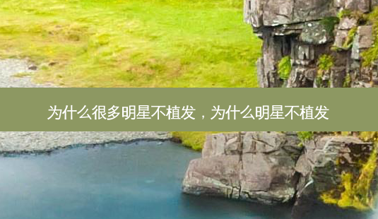 为什么很多明星不植发,为什么明星不植发-第1张图片-容颜讯 为什么很多明星不植发,为什么明星不植发-第1张图片-容颜讯