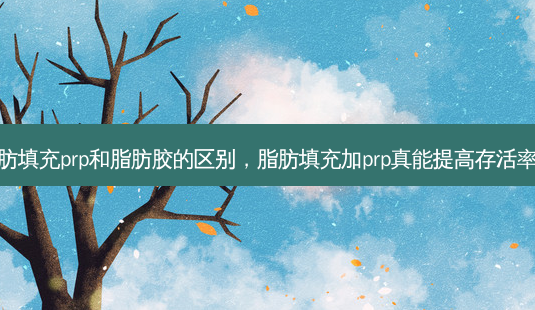 脂肪填充prp和脂肪胶的区别,脂肪填充加prp真能提高 *** 吗-第1张图片-容颜讯 脂肪填充prp和脂肪胶的区别,脂肪填充加prp真能提高 *** 吗-第1张图片-容颜讯