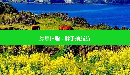 脖颈抽脂，脖子抽脂肪-第1张图片-容颜讯