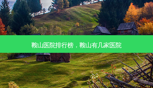 鞍山医院排行榜,鞍山有几家医院-第1张图片-容颜讯 鞍山医院排行榜,鞍山有几家医院-第1张图片-容颜讯