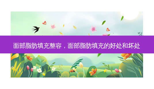 面部脂肪填充整容,面部脂肪填充的好处和坏处-第1张图片-容颜讯 面部脂肪填充整容,面部脂肪填充的好处和坏处-第1张图片-容颜讯
