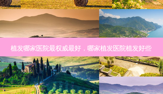 植发哪家医院好,哪家植发医院植发好些-第1张图片-容颜讯 植发哪家医院好,哪家植发医院植发好些-第1张图片-容颜讯