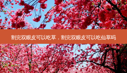 割完双眼皮可以吃草，割完双眼皮可以吃仙草吗-第1张图片-容颜讯