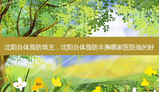 沈阳自体脂肪填充，沈阳自体脂肪丰胸哪家医院做的好-第1张图片-容颜讯