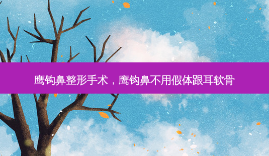 鹰钩鼻整形手术，鹰钩鼻不用假体跟耳软骨-第1张图片-容颜讯