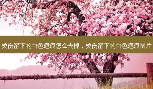 烫伤留下的白色疤痕怎么去掉,烫伤留下的白色疤痕图片-第1张图片-容颜讯 烫伤留下的白色疤痕怎么去掉,烫伤留下的白色疤痕图片-第1张图片-容颜讯