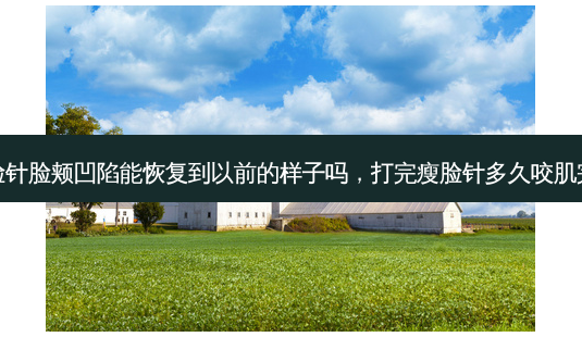 打完瘦脸针脸颊凹陷能恢复到以前的样子吗，打完瘦脸针多久咬肌完全消失-第1张图片-容颜讯