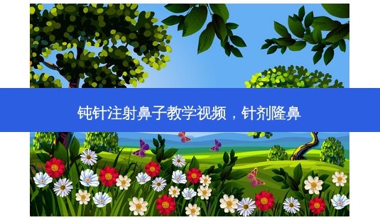 钝针注射鼻子教学视频，针剂隆鼻-第1张图片-容颜讯