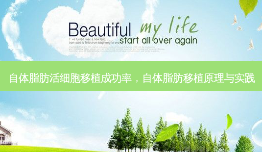 自体脂肪活细胞移植成功率，自体脂肪移植原理与实践-第1张图片-容颜讯