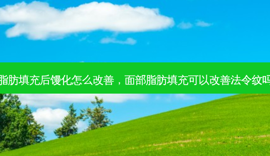 脂肪填充后馒化怎么改善，面部脂肪填充可以改善法令纹吗-第1张图片-容颜讯