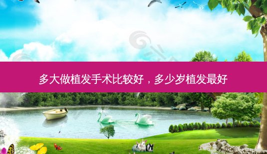 多大做植发手术比较好,多少岁植发 *** 好-第1张图片-容颜讯 多大做植发手术比较好,多少岁植发 *** 好-第1张图片-容颜讯