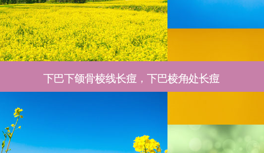 下巴下颌骨棱线长痘,下巴棱角处长痘-第1张图片-容颜讯 下巴下颌骨棱线长痘,下巴棱角处长痘-第1张图片-容颜讯