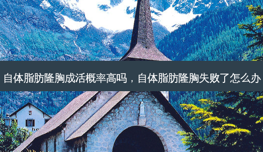 自体脂肪隆胸成活概率高吗,自体脂肪隆胸失败了怎么办-第1张图片-容颜讯 自体脂肪隆胸成活概率高吗,自体脂肪隆胸失败了怎么办-第1张图片-容颜讯