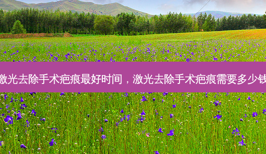 激光去除手术疤痕 *** 好时间,激光去除手术疤痕需要多少钱-第1张图片-容颜讯 激光去除手术疤痕 *** 好时间,激光去除手术疤痕需要多少钱-第1张图片-容颜讯