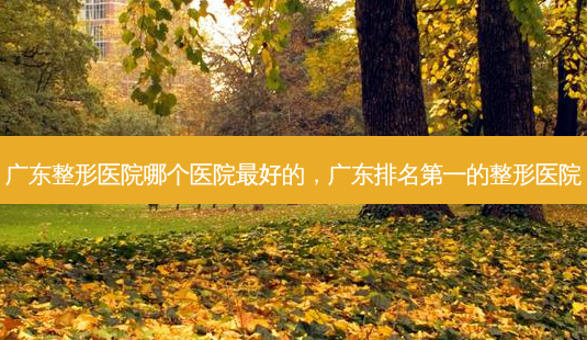 广东整形医院哪个医院 *** 好的，广东 *** 的整形医院-第1张图片-容颜讯