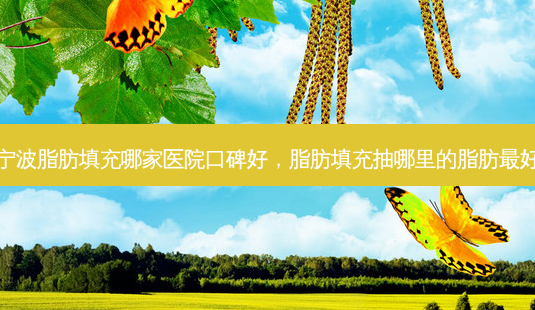 宁波脂肪填充哪家医院口碑好，脂肪填充抽哪里的脂肪 *** 好-第1张图片-容颜讯