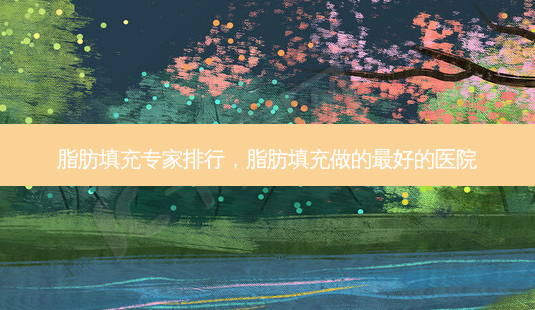 脂肪填充专家排行，脂肪填充做的 *** 好的医院-第1张图片-容颜讯