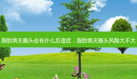 脂肪填充额头会有什么后遗症,脂肪填充额头风险大不大-第1张图片-容颜讯 脂肪填充额头会有什么后遗症,脂肪填充额头风险大不大-第1张图片-容颜讯