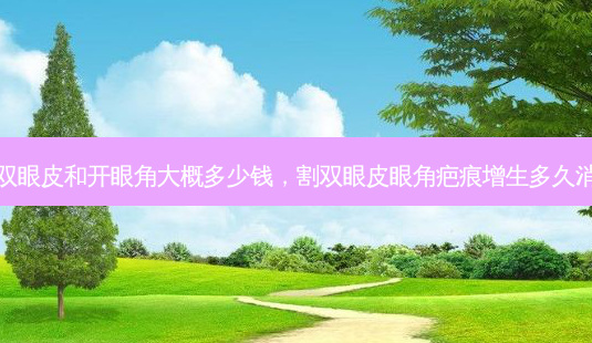 割双眼皮和开眼角大概多少钱,割双眼皮眼角疤痕增生多久消失-第1张图片-容颜讯 割双眼皮和开眼角大概多少钱,割双眼皮眼角疤痕增生多久消失-第1张图片-容颜讯
