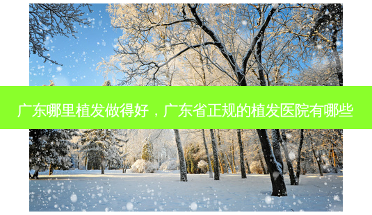 广东哪里植发做得好，广东省正规的植发医院有哪些-第1张图片-容颜讯