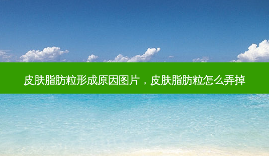 皮肤脂肪粒形成原因图片，皮肤脂肪粒怎么弄掉-第1张图片-容颜讯