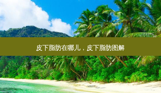 皮下脂肪在哪儿,皮下脂肪图解-第1张图片-容颜讯 皮下脂肪在哪儿,皮下脂肪图解-第1张图片-容颜讯