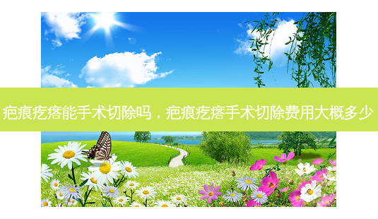 疤痕疙瘩能手术切除吗,疤痕疙瘩手术切除费用大概多少-第1张图片-容颜讯 疤痕疙瘩能手术切除吗,疤痕疙瘩手术切除费用大概多少-第1张图片-容颜讯