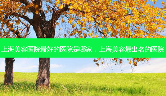 上海美容医院 *** 好的医院是哪家,上海美容 *** 出名的医院-第1张图片-容颜讯 上海美容医院 *** 好的医院是哪家,上海美容 *** 出名的医院-第1张图片-容颜讯