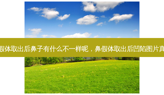 鼻假体取出后鼻子有什么不一样呢,鼻假体取出后凹陷图片真实-第1张图片-容颜讯 鼻假体取出后鼻子有什么不一样呢,鼻假体取出后凹陷图片真实-第1张图片-容颜讯