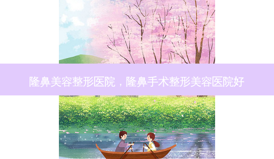 隆鼻美容整形医院，隆鼻手术整形美容医院好-第1张图片-容颜讯