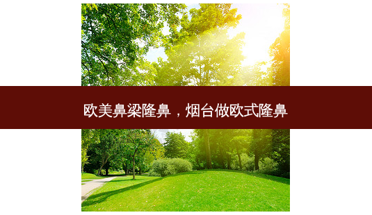欧美鼻梁隆鼻,烟台做欧式隆鼻-第1张图片-容颜讯 欧美鼻梁隆鼻,烟台做欧式隆鼻-第1张图片-容颜讯